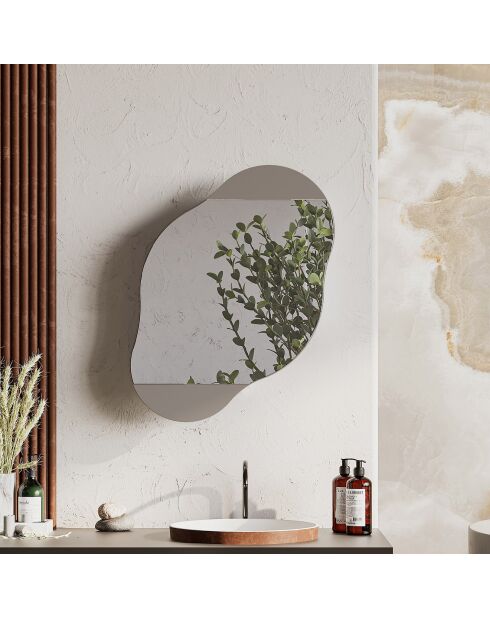 Miroir mural avec rangement Carrara moka clair - 60x75x13 cm