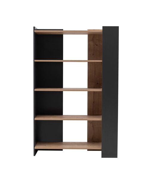 Bibliothèque Viper pin/anthracite - 103.6x38.6x160 cm