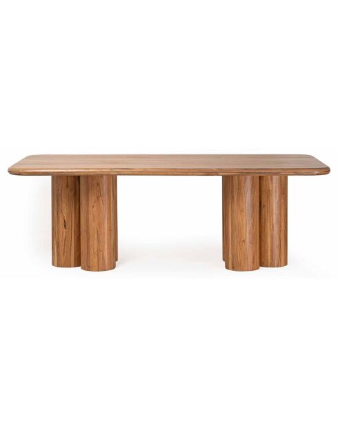 Table de repas rectangulaire acacia maglan marron - 220x100x76 cm