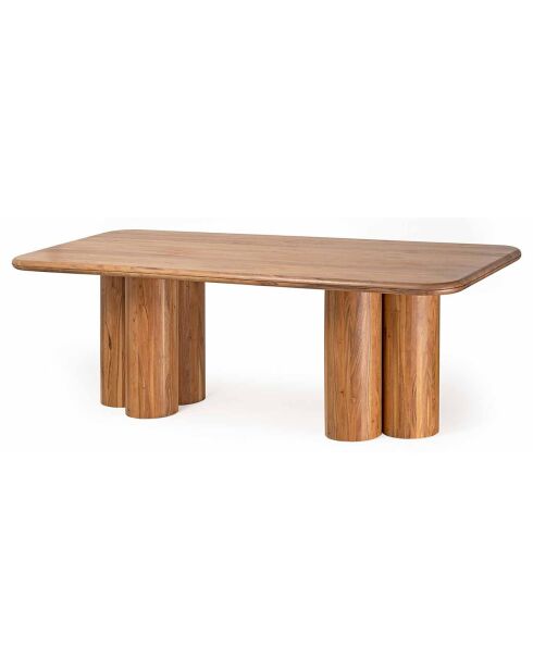Table de repas rectangulaire acacia maglan marron - 220x100x76 cm