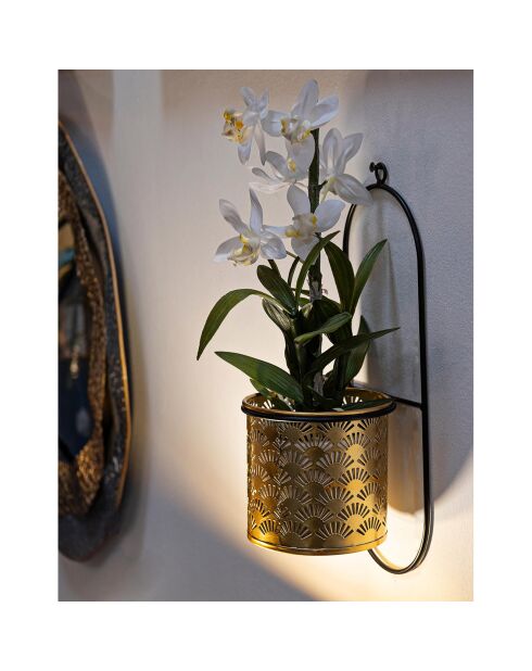 Vase Mural  noir/doré - 14x14x38 cm
