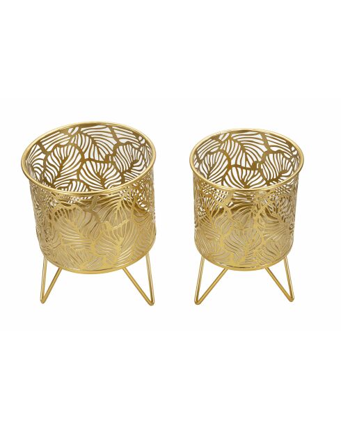 2 vasi Naty dorati - 17x17x21 cm