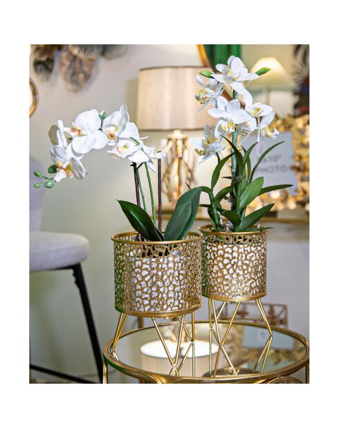 2 gouden Piny potten - 17x17x21 cm