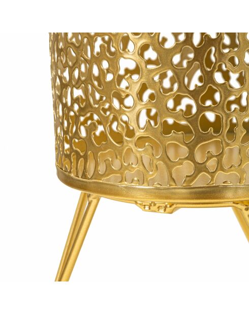 2 gouden Piny potten - 17x17x21 cm