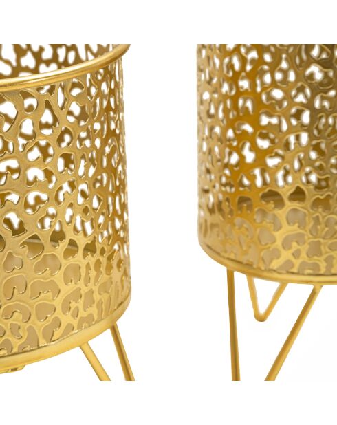 2 gouden Piny potten - 17x17x21 cm