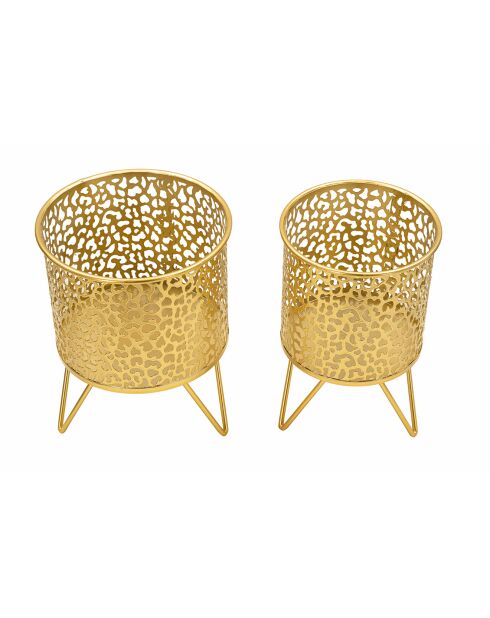 2 gouden Piny potten - 17x17x21 cm