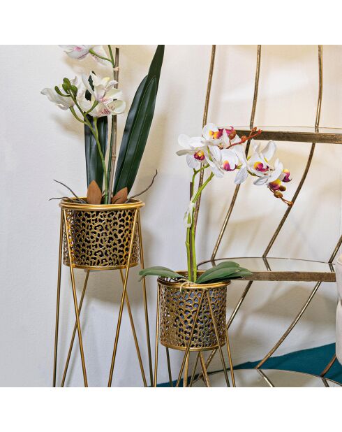 Paar gouden vazen - 28x15x49 cm