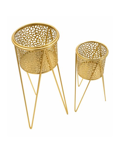 Paar gouden vazen - 28x15x49 cm