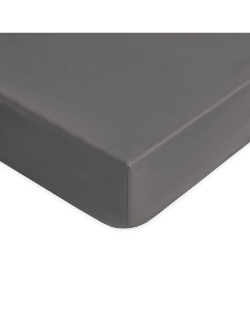Drap housse en coton Aurora gris