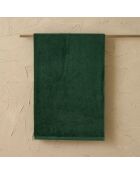 Drap de bain Elisa vert- 100x150 cm