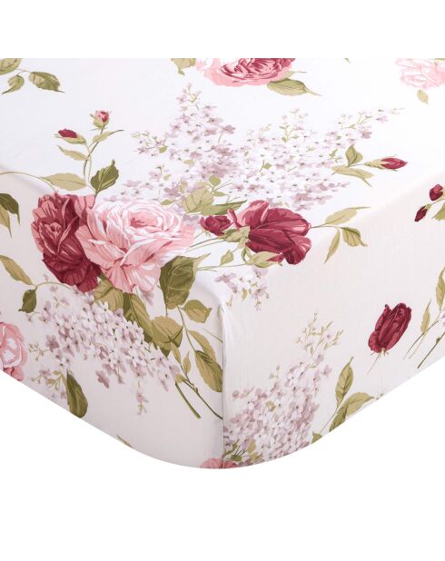 Drap housse percale de coton Giulietta rouge