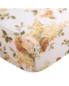 Drap housse percale de coton Giulietta jaune