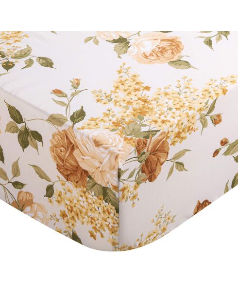 Drap housse percale de coton Giulietta jaune