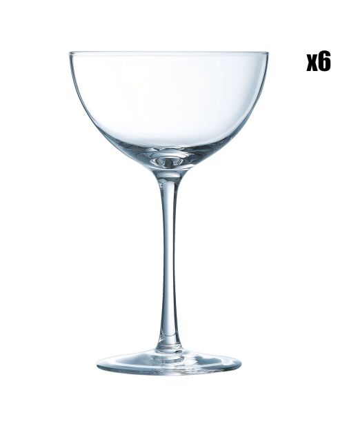 6 Coupes à champagne Champagne & Cocktail transparentes - 21cl