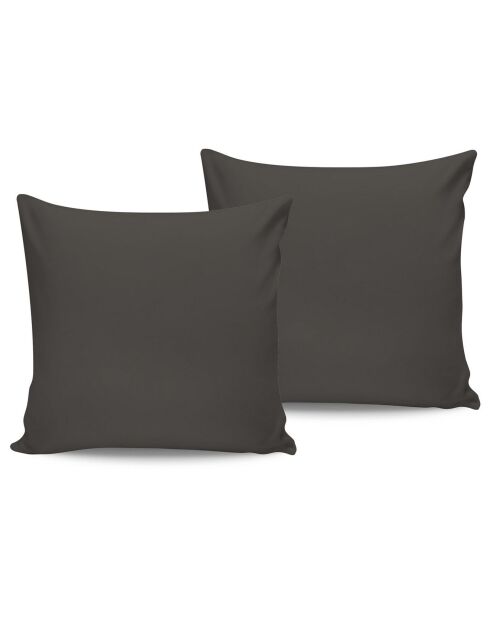 2 federe in cotone antracite tinta unita - 60x60 cm