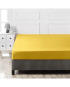 Drap housse en coton bonnet 30 cm jaune foncé