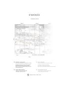 Fresque Envolée Terre de Sienne Fond Grisaille - 150x305 cm