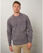 Pull 100% Laine Vierge Shetland Crew marl vin