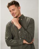 Chemise regular Pitt Pat militaire