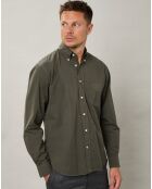 Chemise regular Pitt Pat militaire