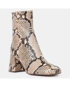 Bottines en Cuir imprimées python beige - Talon 7 cm