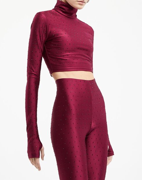 Top Orchid Crystal-Turtleneck Crop bordeaux clair