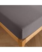 Drap housse 100% Coton bonnet 30 cm ardoise