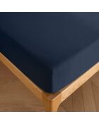 Drap housse 100% Coton bonnet 30 cm bleu nuit