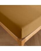Drap housse 100% Coton bonnet 30 cm caramel