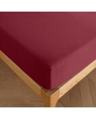 Drap housse 100% Coton bonnet 30 cm grenat