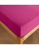 Drap housse 100% Coton bonnet 30 cm magenta
