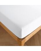Drap housse 100% Coton bonnet 30 cm neige