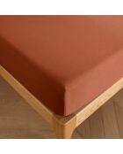 Drap housse 100% Coton bonnet 30 cm paprika