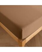 Drap housse 100% Coton bonnet 30 cm taupe