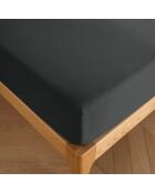 Drap housse 100% Coton bonnet 30 cm truffe