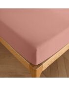 Drap housse 100% Coton bonnet 30 cm vieux rose