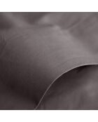 Drap Plat 100% Coton ardoise