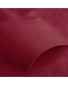 Drap Plat 100% Coton grenat