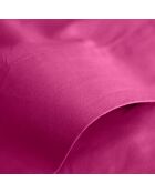 Drap Plat 100% Coton magenta