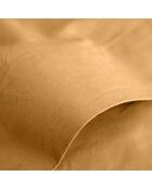 Drap Plat 100% Coton miel