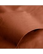 Drap Plat 100% Coton paprika