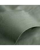 Drap Plat 100% Coton romarin