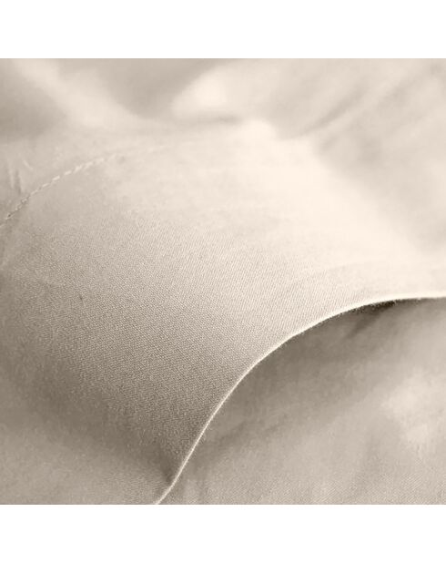 Drap Plat 100% Coton sable