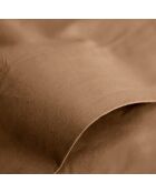 Drap Plat 100% Coton taupe