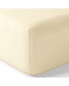 Drap housse en percale de coton bonnet 30 cm ivoire