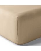 Drap housse en percale de coton bonnet 30 cm lin