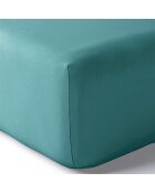 Drap housse en percale de coton bonnet 30 cm paon