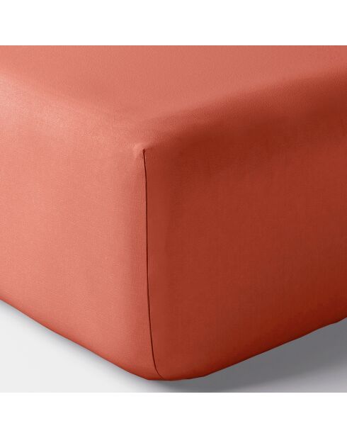 Drap housse en percale de coton bonnet 30 cm terracotta
