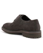 Derbies en Velours de Cuir Cannaregio brun moyen