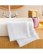 4 Gants de Toilette Spa neige - 15x21 cm